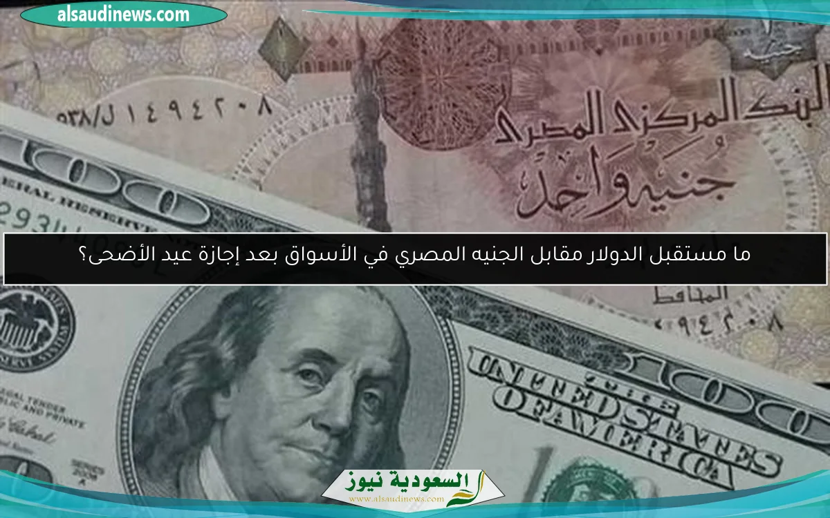 ما مستقبل الدولار مقابل الجنيه المصري في الأسواق بعد إجازة عيد الأضحى؟