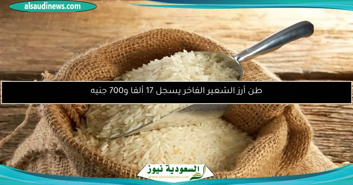 طن أرز الشعير الفاخر يسجل 17 ألفا و700 جنيه
