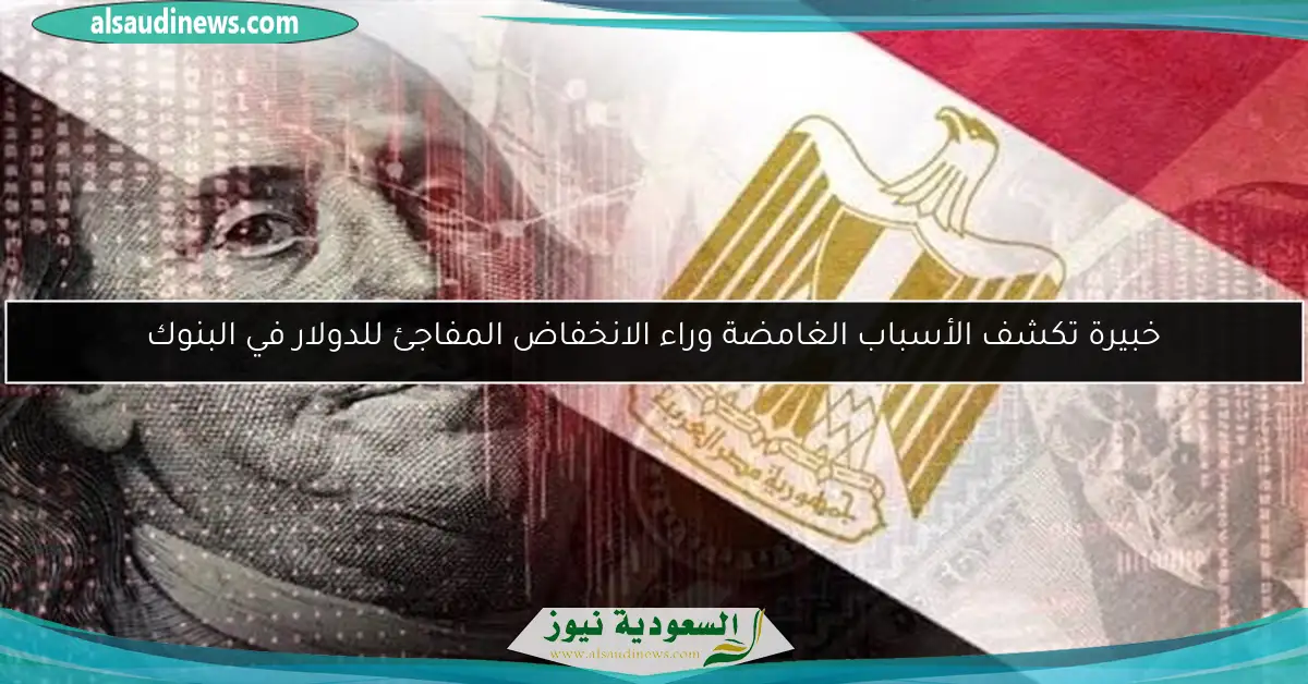 خبيرة تكشف الأسباب الغامضة وراء الانخفاض المفاجئ للدولار في البنوك