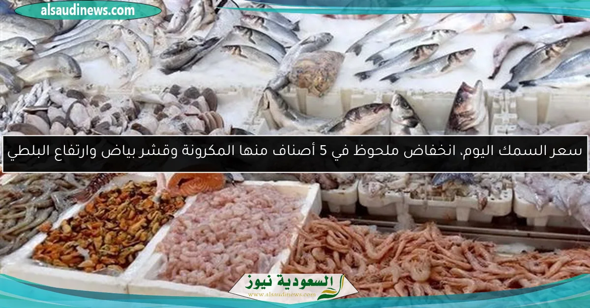 سعر السمك اليوم، انخفاض ملحوظ في 5 أصناف منها المكرونة وقشر بياض وارتفاع البلطي