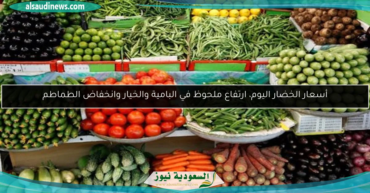 أسعار الخضار اليوم، ارتفاع ملحوظ في البامية والخيار وانخفاض الطماطم