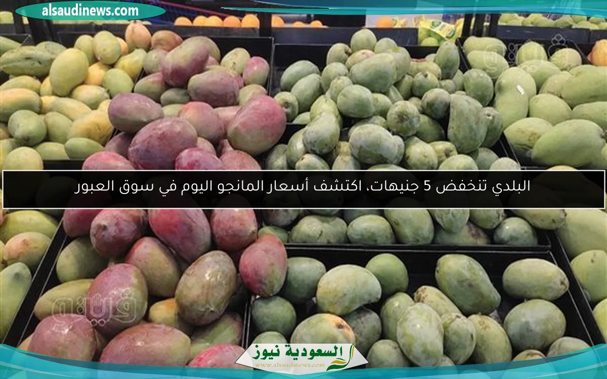البلدي تنخفض 5 جنيهات، اكتشف أسعار المانجو اليوم في سوق العبور