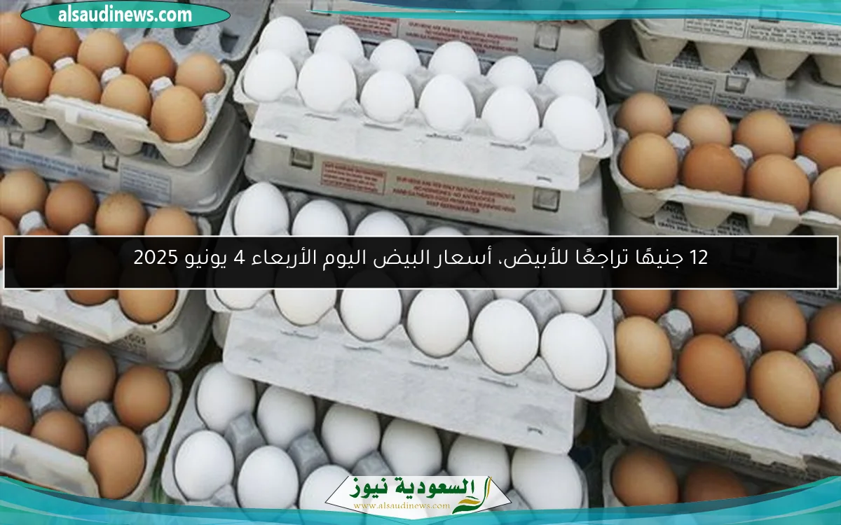 12 جنيهًا تراجعًا للأبيض، أسعار البيض اليوم الأربعاء 4 يونيو 2025