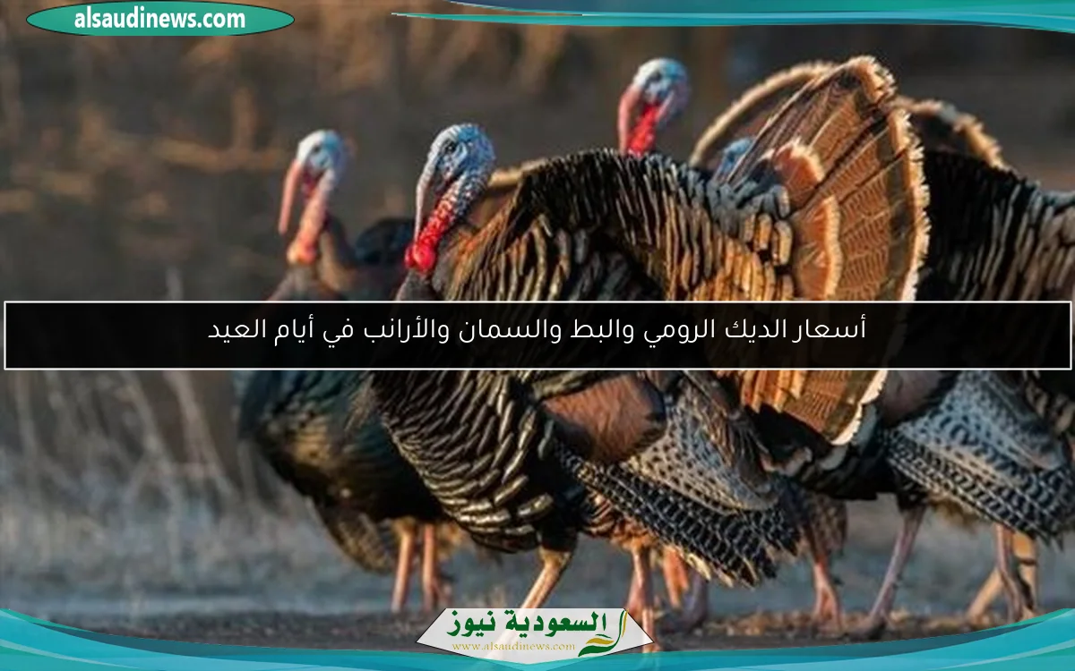 أسعار الديك الرومي والبط والسمان والأرانب في أيام العيد