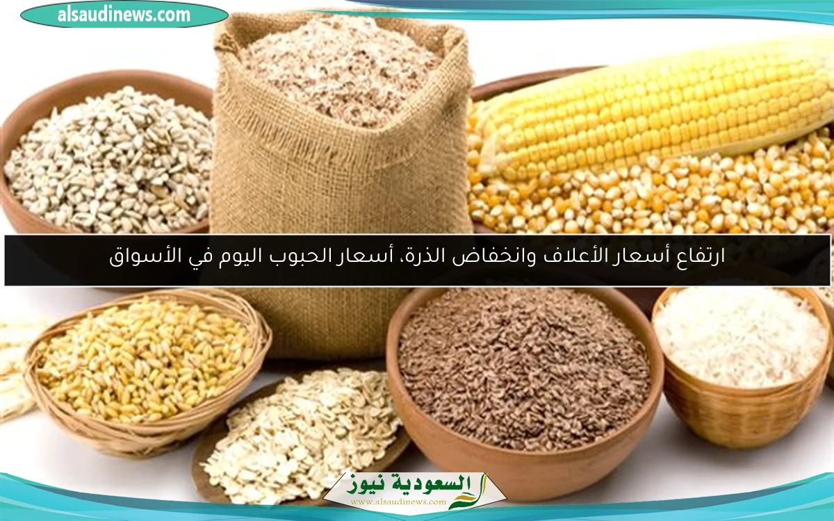 ارتفاع أسعار الأعلاف وانخفاض الذرة، أسعار الحبوب اليوم في الأسواق