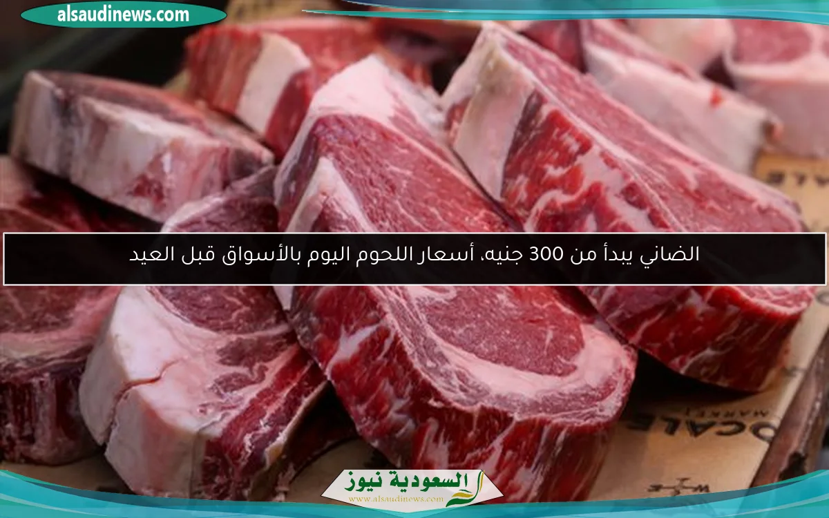 الضاني يبدأ من 300 جنيه، أسعار اللحوم اليوم بالأسواق قبل العيد