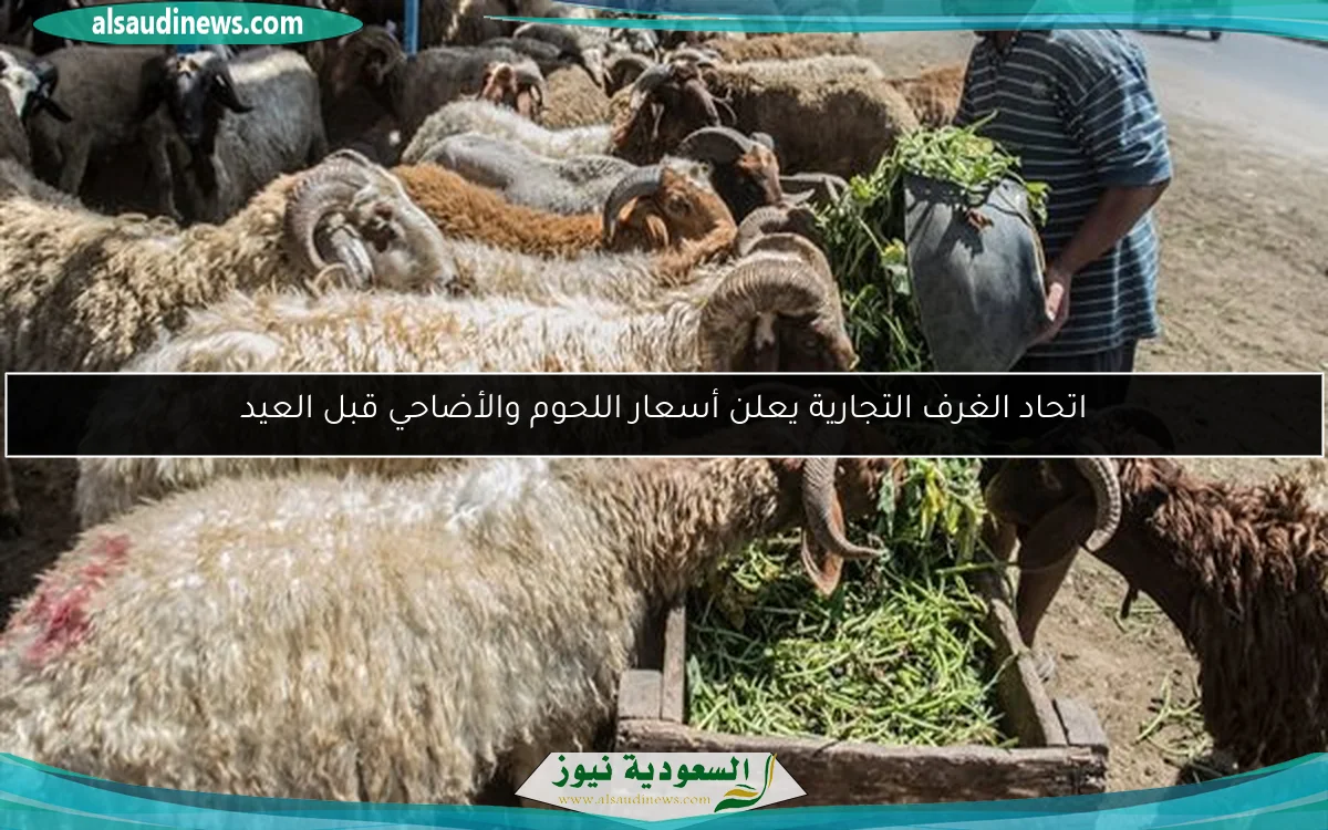 اتحاد الغرف التجارية يعلن أسعار اللحوم والأضاحي قبل العيد