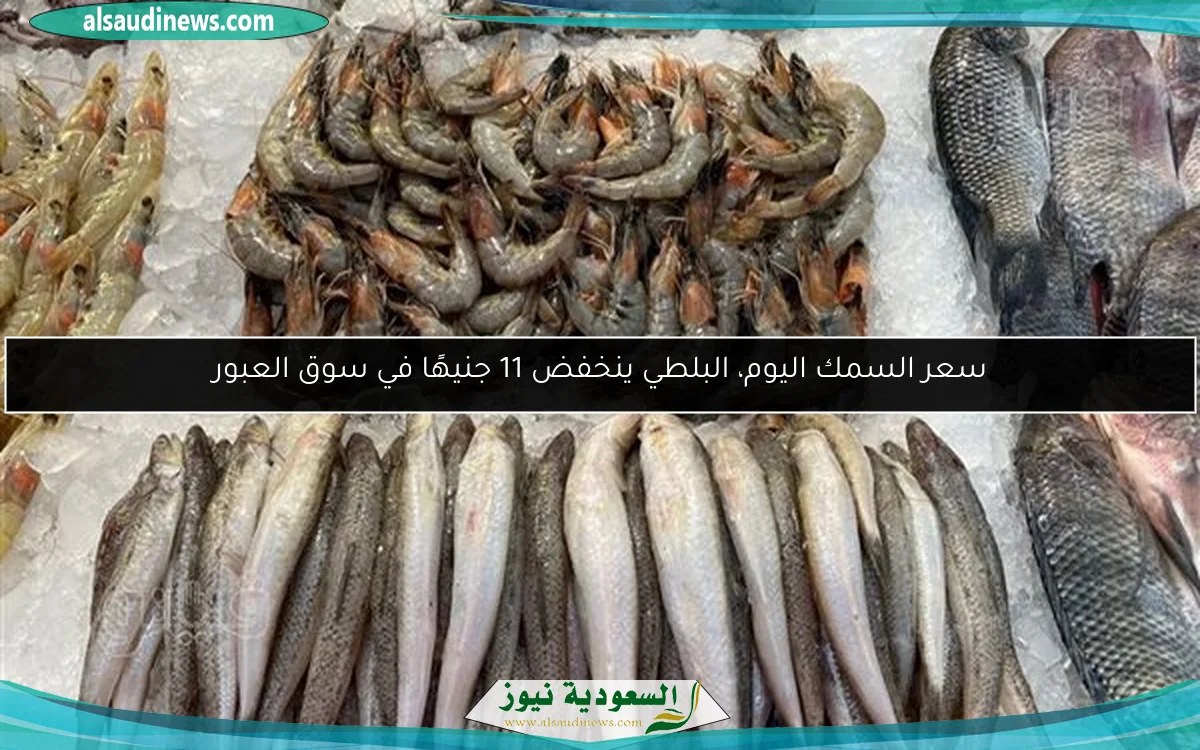 سعر السمك اليوم، البلطي ينخفض 11 جنيهًا في سوق العبور