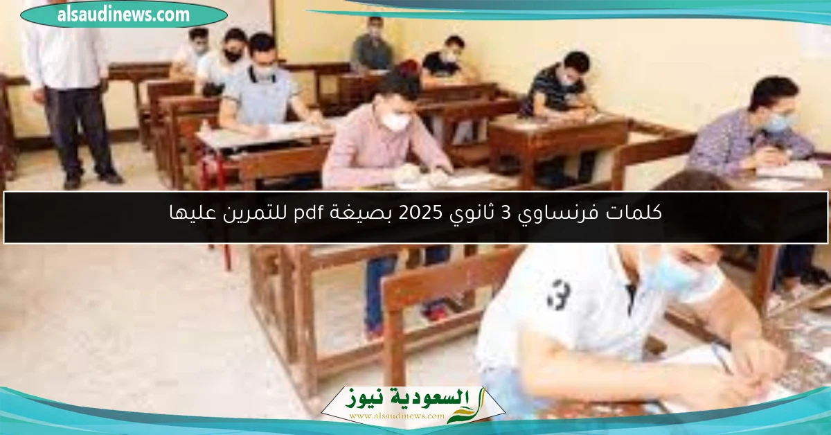 كلمات فرنساوي 3 ثانوي 2025 بصيغة pdf للتمرين عليها