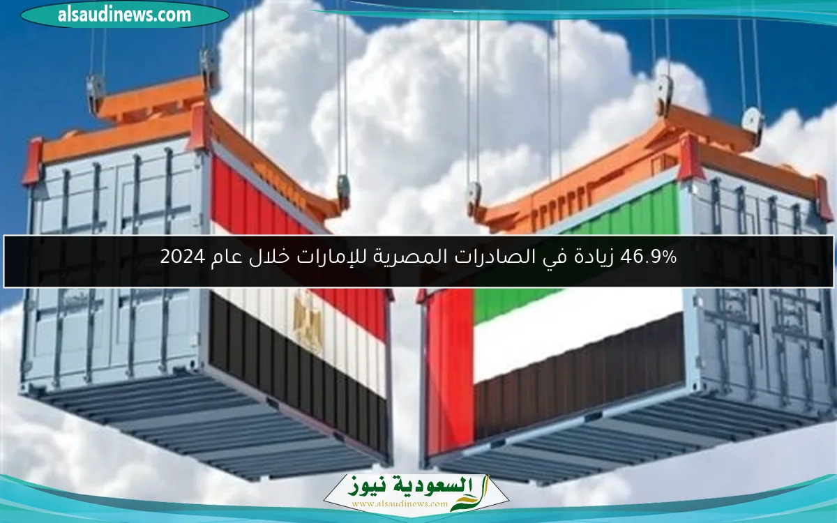 46.9% زيادة في الصادرات المصرية للإمارات خلال عام 2024