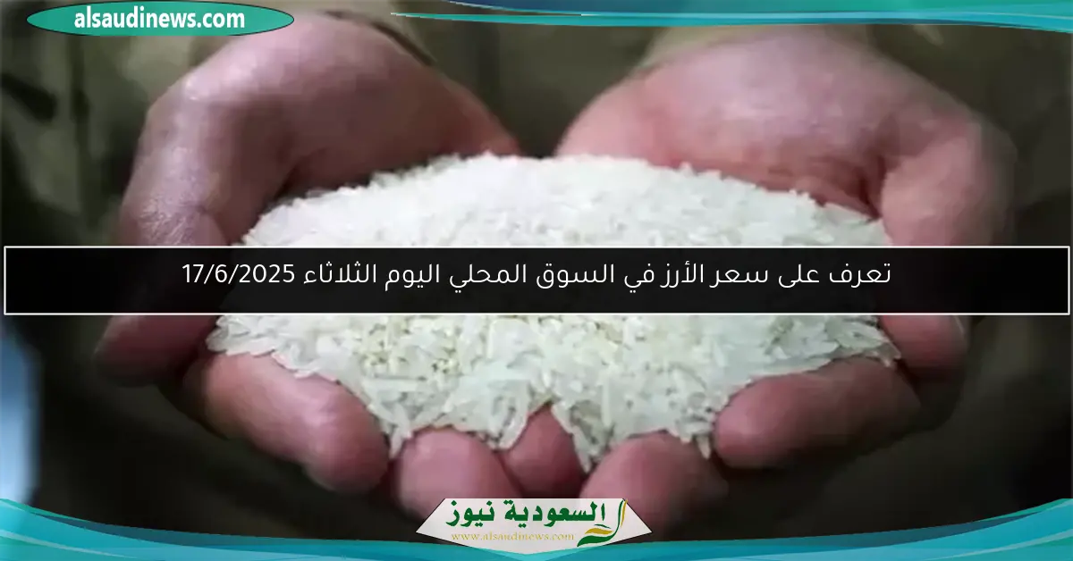 تعرف على سعر الأرز في السوق المحلي اليوم الثلاثاء 17/6/2025