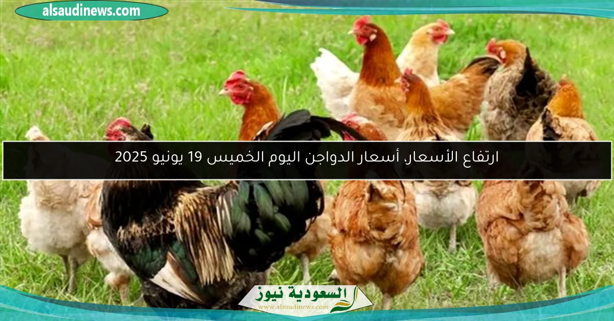 آخر مستجدات سعر النحاس اليوم الأربعاء 18 – 6