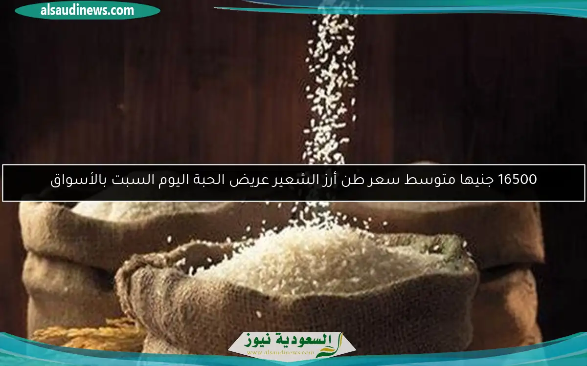 16500 جنيها متوسط سعر طن أرز الشعير عريض الحبة اليوم السبت بالأسواق