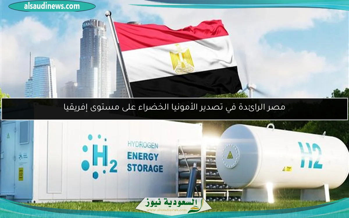 مصر الرائدة في تصدير الأمونيا الخضراء على مستوى إفريقيا