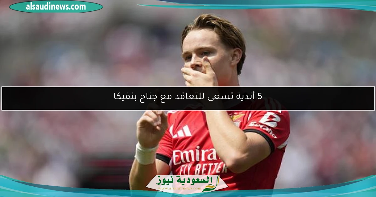 5 أندية تسعى للتعاقد مع جناح بنفيكا