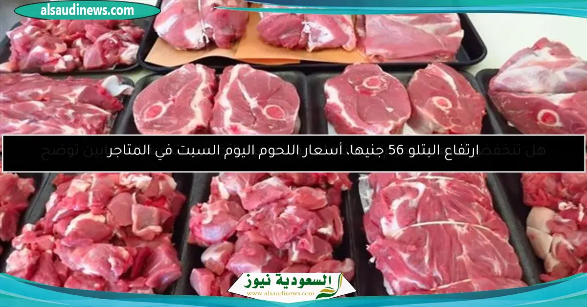 هل تنخفض أسعار اللحوم بعد انتهاء موسم عيد الأضحى، شعبة القصابين توضح