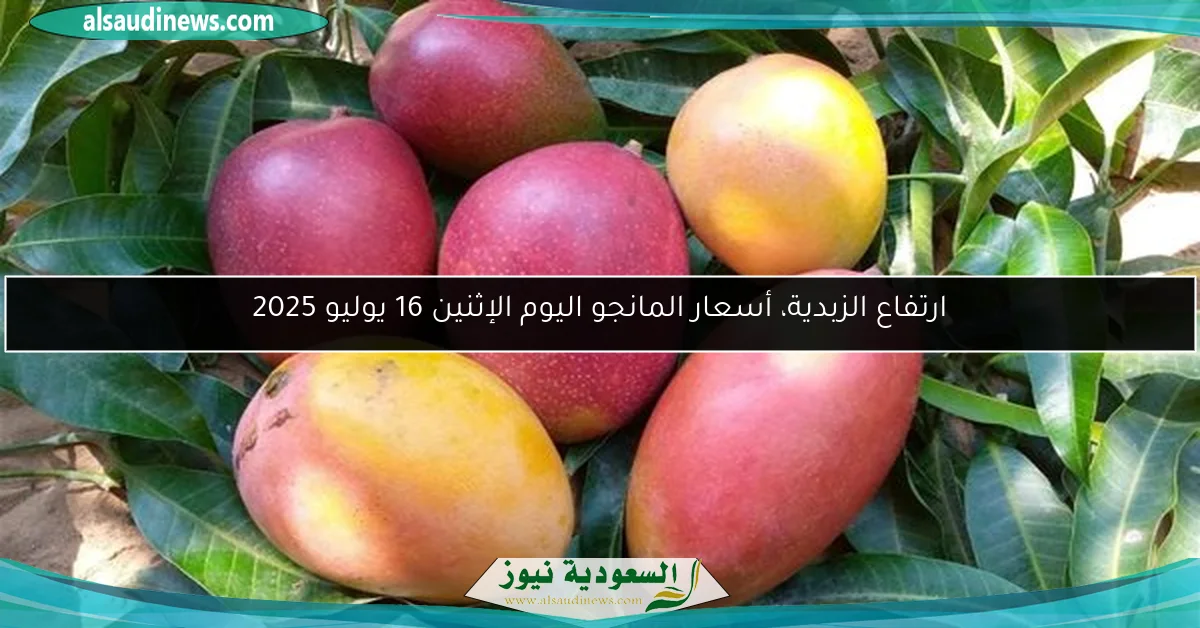 ارتفاع الزبدية، أسعار المانجو اليوم الإثنين 16 يوليو 2025