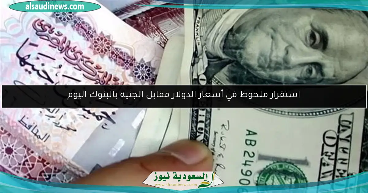 استقرار ملحوظ في أسعار الدولار مقابل الجنيه بالبنوك اليوم