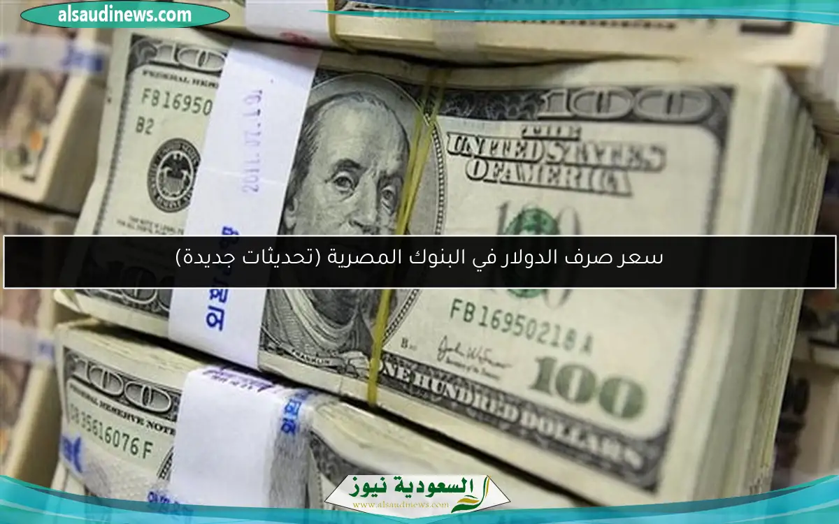 سعر صرف الدولار في البنوك المصرية (تحديثات جديدة)