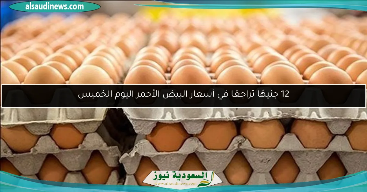12 جنيهًا تراجعًا في أسعار البيض الأحمر اليوم الخميس