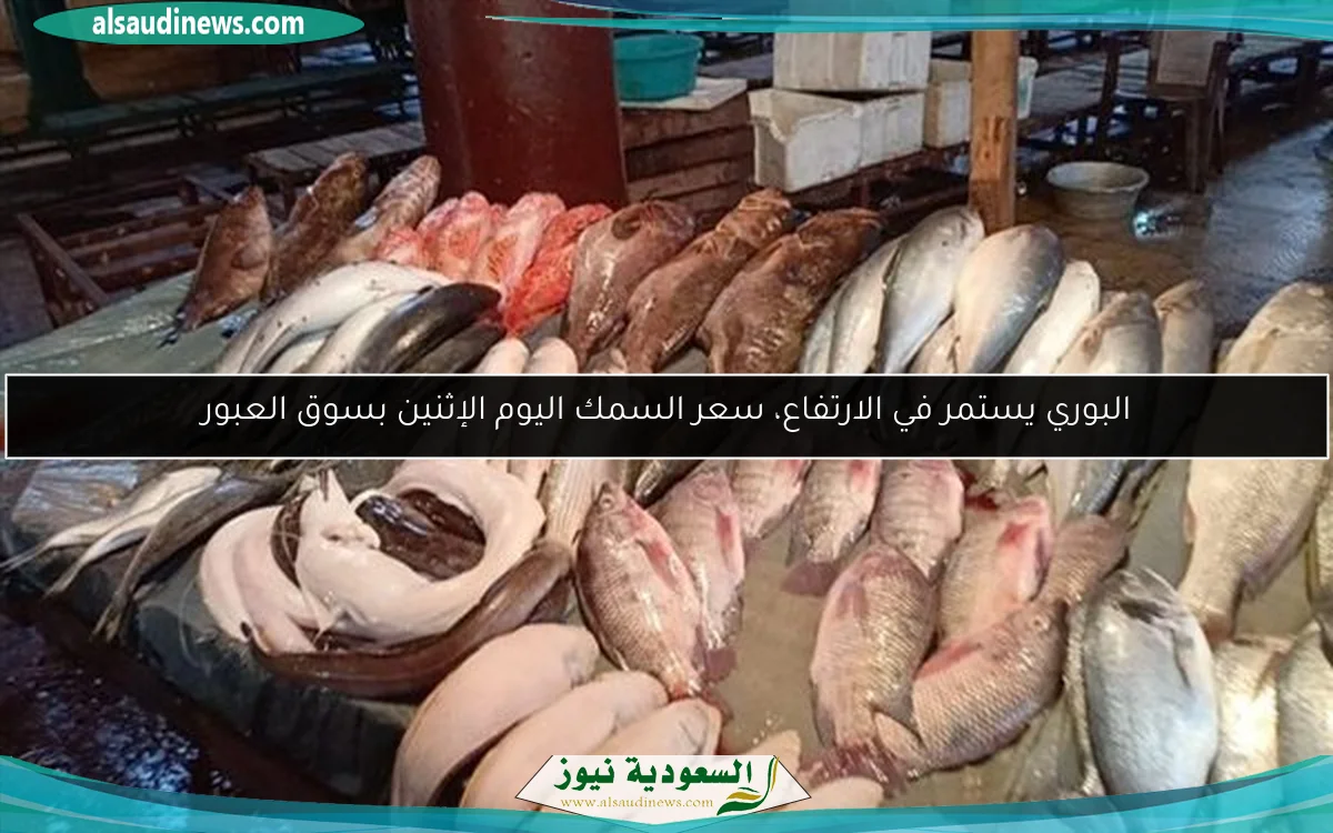 البوري يستمر في الارتفاع، سعر السمك اليوم الإثنين بسوق العبور