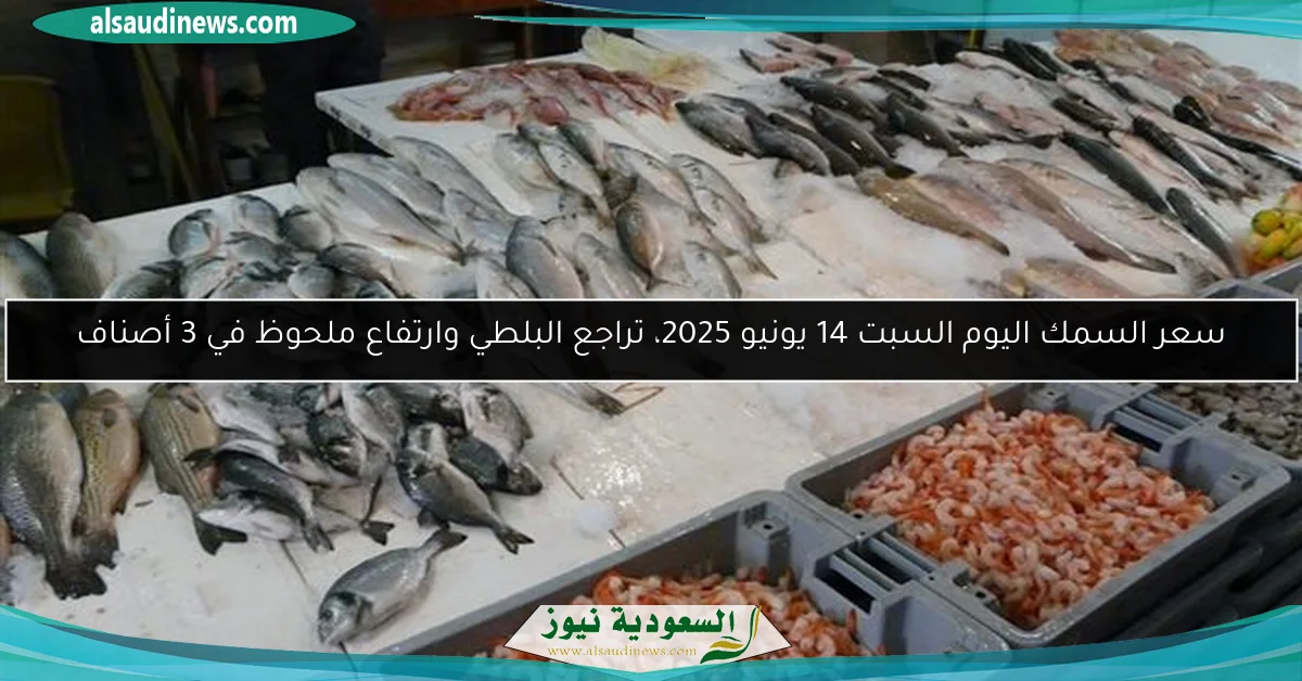 سعر السمك اليوم السبت 14 يونيو 2025، تراجع البلطي وارتفاع ملحوظ في 3 أصناف
