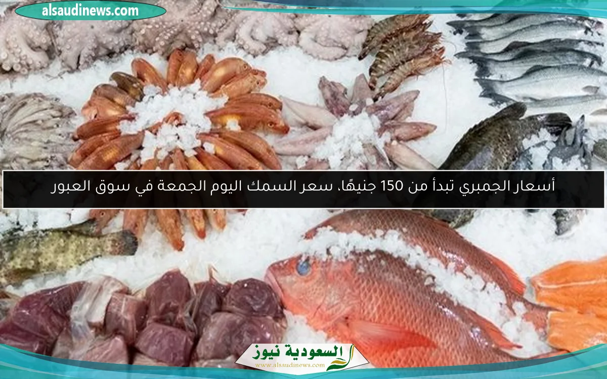 أسعار الجمبري تبدأ من 150 جنيهًا، سعر السمك اليوم الجمعة في سوق العبور