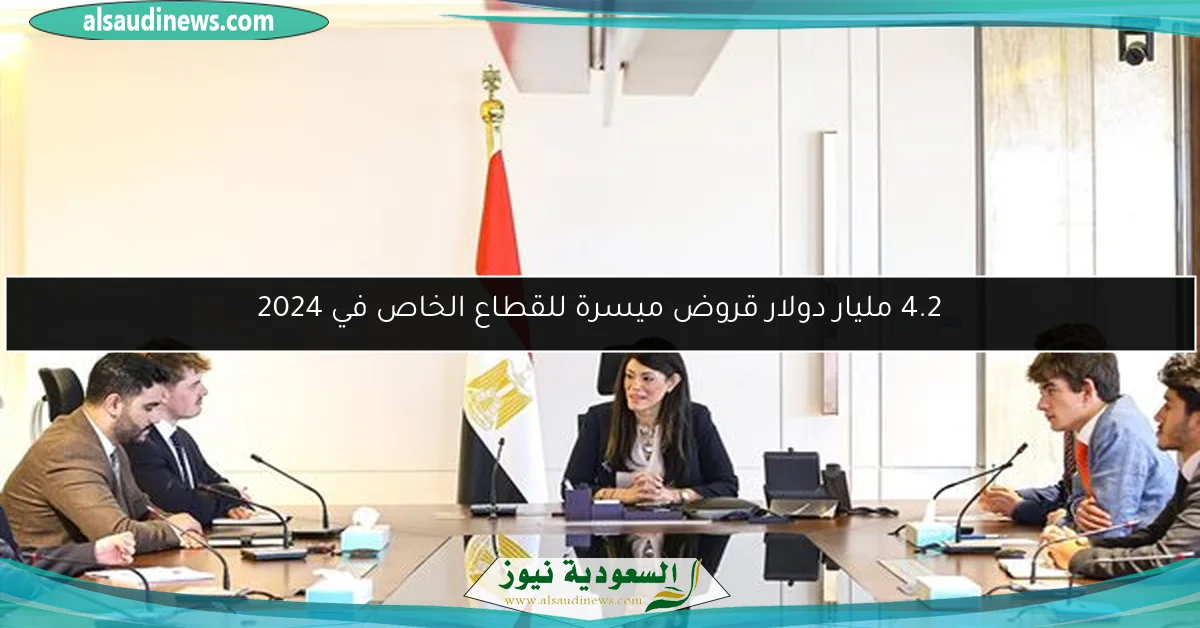 4.2 مليار دولار قروض ميسرة للقطاع الخاص في 2024