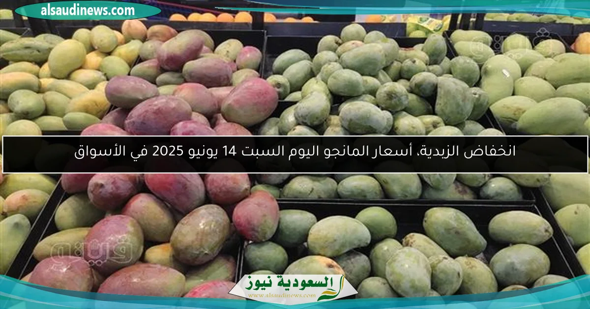انخفاض الزبدية، أسعار المانجو اليوم السبت 14 يونيو 2025 في الأسواق