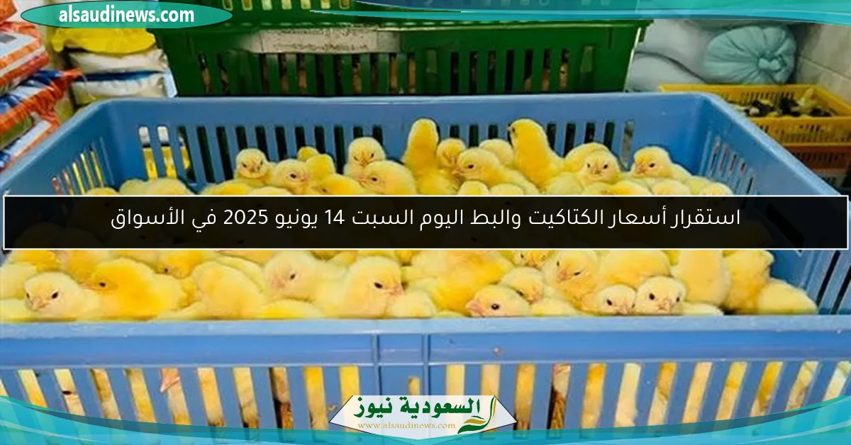 أسعار تذاكر زيارة المتحف المصري الكبير.. قبل افتتاحه بأيام