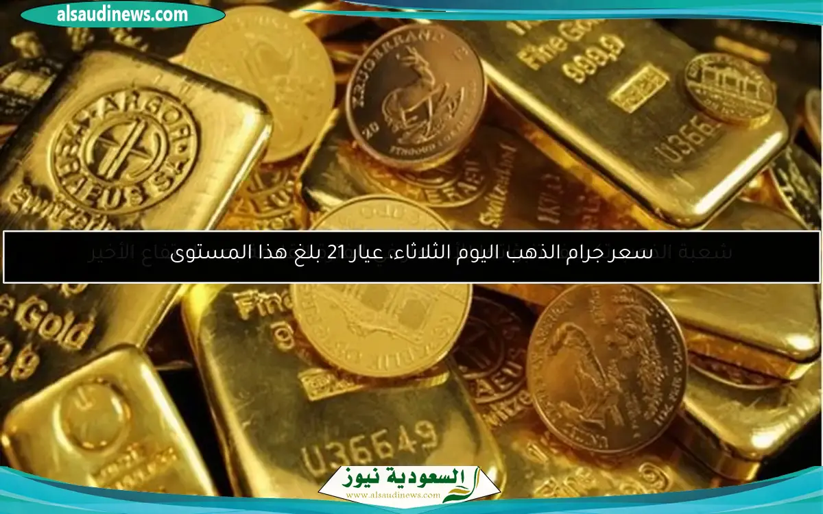 ارتفاع الضاني والبتلو، أسعار اللحوم اليوم في الأسواق