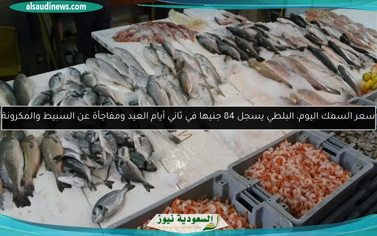 سعر السمك اليوم، البلطي يسجل 84 جنيها في ثاني أيام العيد ومفاجأة عن السبيط والمكرونة
