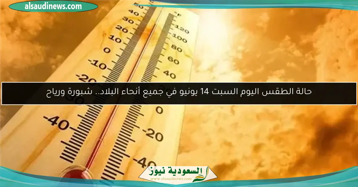 حالة الطقس اليوم السبت 14 يونيو في جميع أنحاء البلاد.. شبورة ورياح