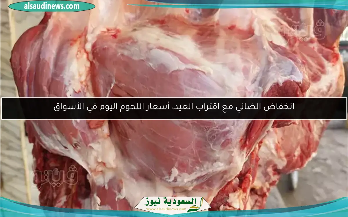 انخفاض الضاني مع اقتراب العيد، أسعار اللحوم اليوم في الأسواق