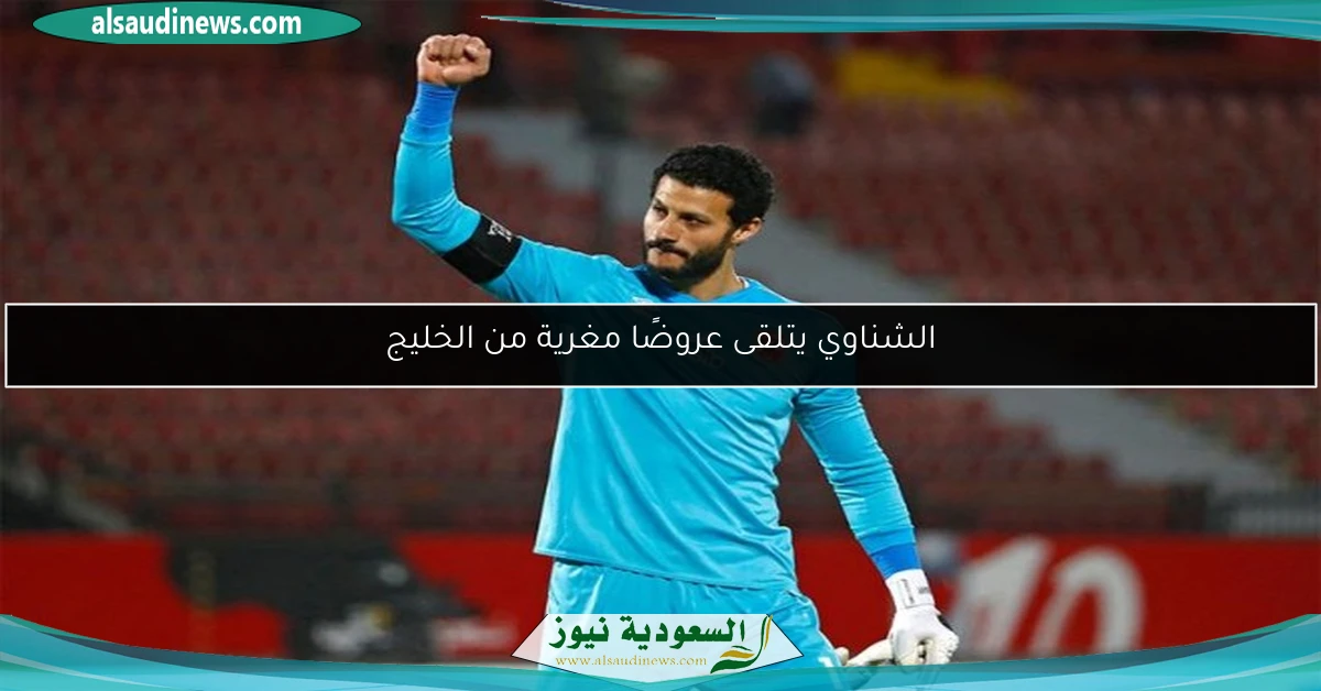 الشناوي يتلقى عروضًا مغرية من الخليج