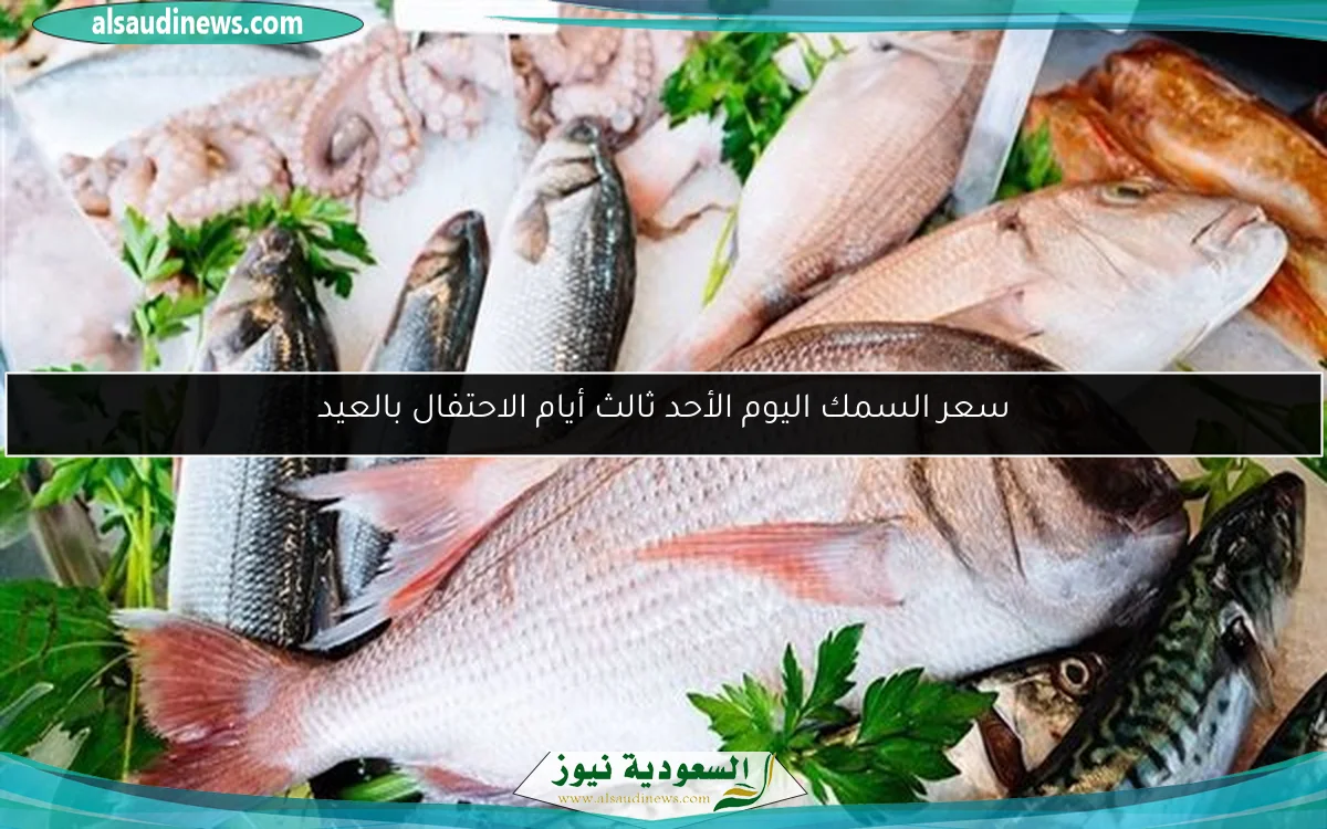 سعر السمك اليوم الأحد ثالث أيام الاحتفال بالعيد