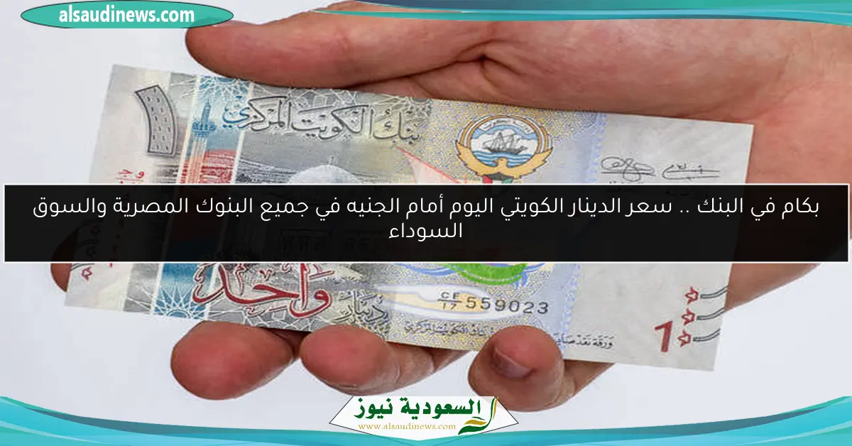 بكام في البنك .. سعر الدينار الكويتي اليوم أمام الجنيه في جميع البنوك المصرية والسوق السوداء