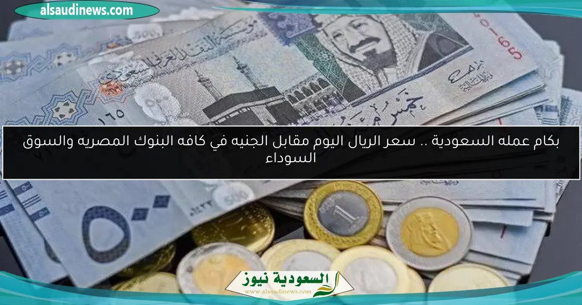 بكام عمله السعودية .. سعر الريال اليوم مقابل الجنيه في كافه البنوك المصريه والسوق السوداء