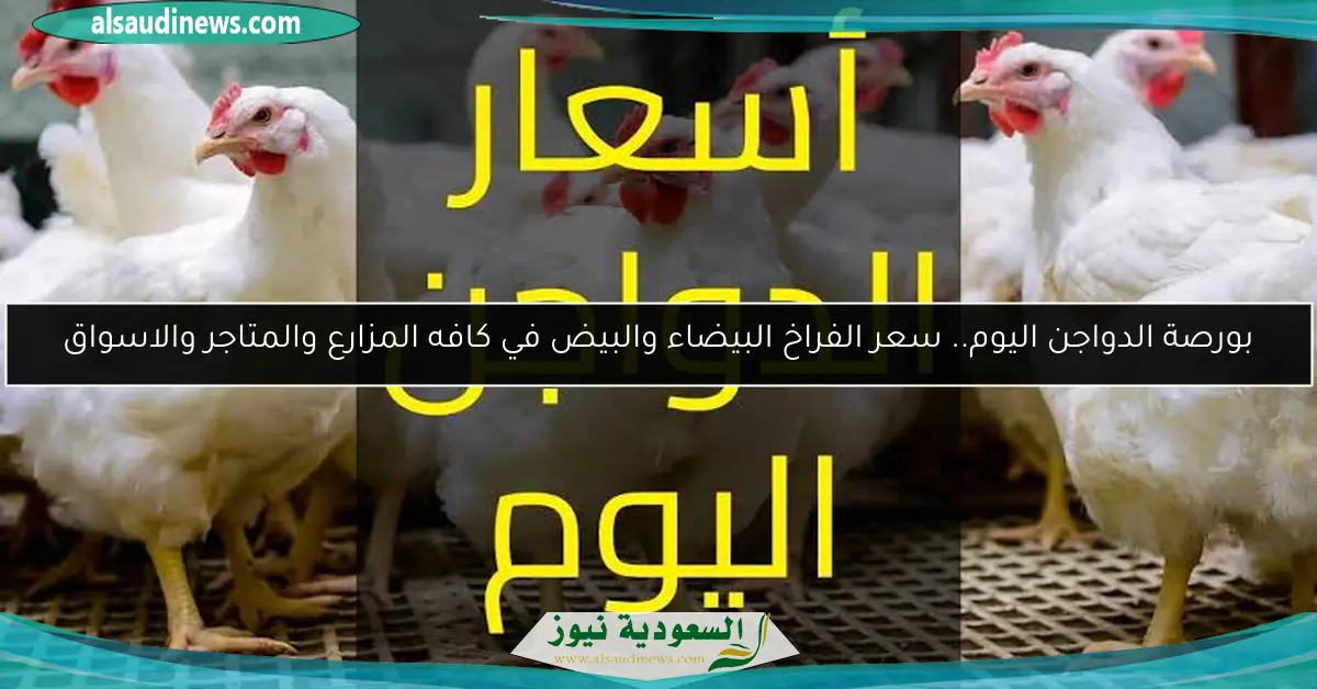 بورصة الدواجن اليوم.. سعر الفراخ البيضاء والبيض في كافه المزارع والمتاجر والاسواق