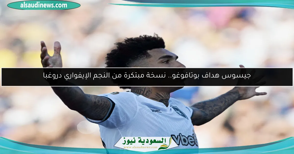 جيسوس هداف بوتافوغو.. نسخة مبتكرة من النجم الإيفواري دروغبا