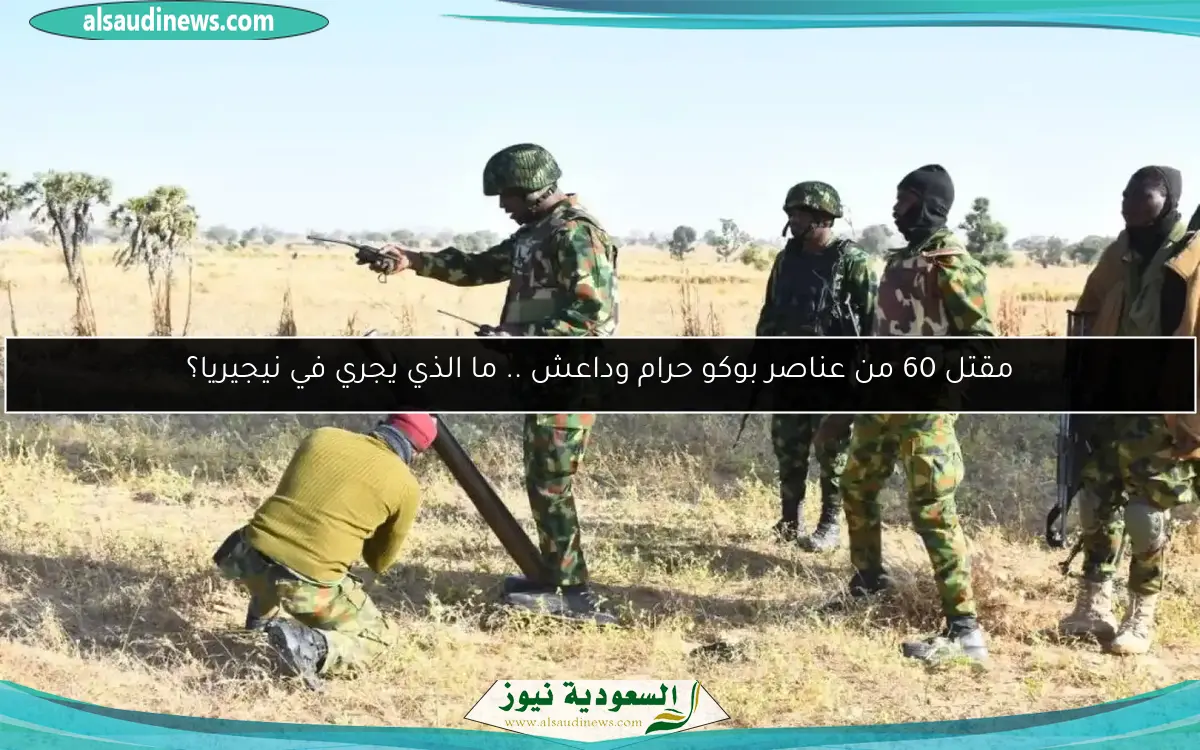 مقتل 60 من عناصر بوكو حرام وداعش .. ما الذي يجري في نيجيريا؟