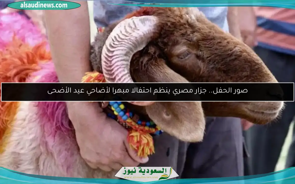 صور الحفل.. جزار مصري ينظم احتفالا مبهرا لأضاحي عيد الأضحى