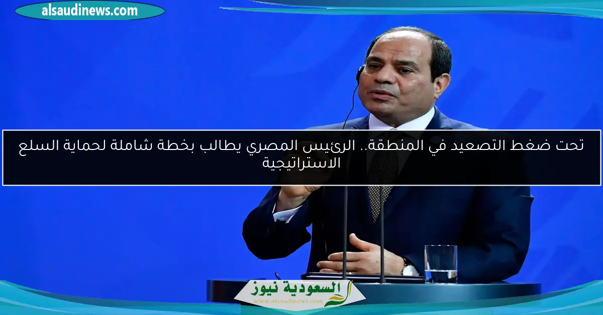 تحت ضغط التصعيد في المنطقة.. الرئيس المصري يطالب بخطة شاملة لحماية السلع الاستراتيجية