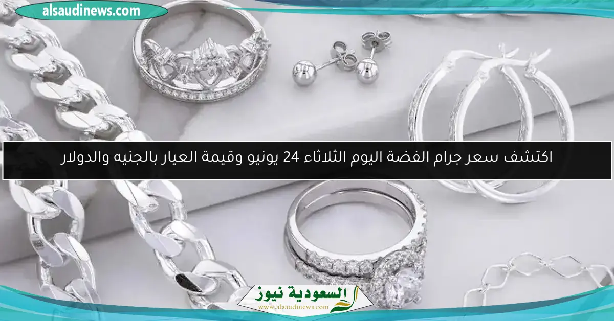 اكتشف سعر جرام الفضة اليوم الثلاثاء 24 يونيو وقيمة العيار بالجنيه والدولار