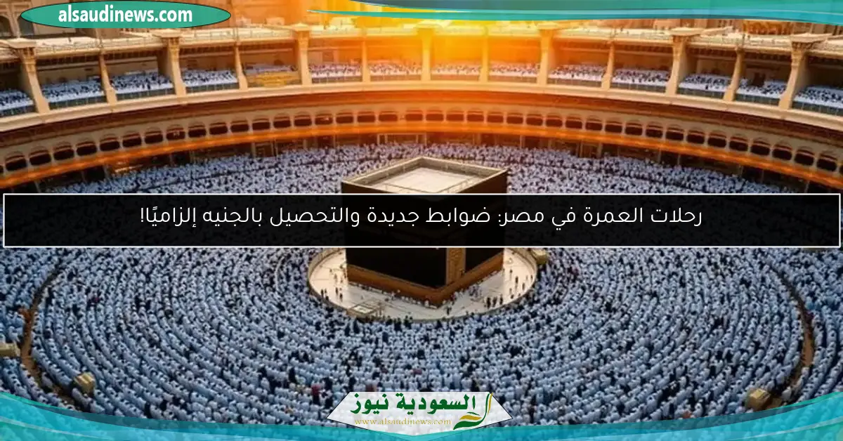 رحلات العمرة في مصر: ضوابط جديدة والتحصيل بالجنيه إلزاميًا!