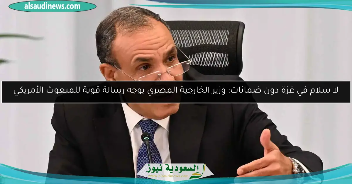 لا سلام في غزة دون ضمانات: وزير الخارجية المصري يوجه رسالة قوية للمبعوث الأمريكي