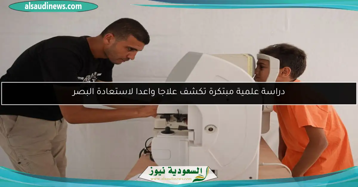 دراسة علمية مبتكرة تكشف علاجا واعدا لاستعادة البصر