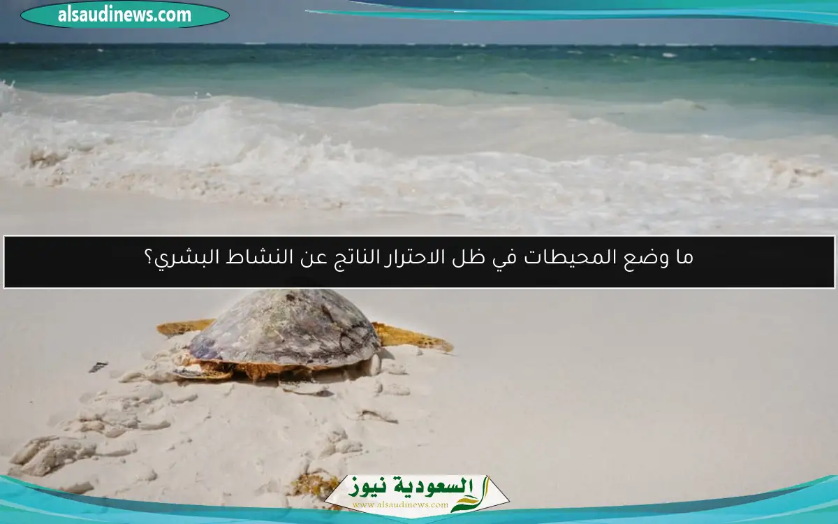 ما وضع المحيطات في ظل الاحترار الناتج عن النشاط البشري؟