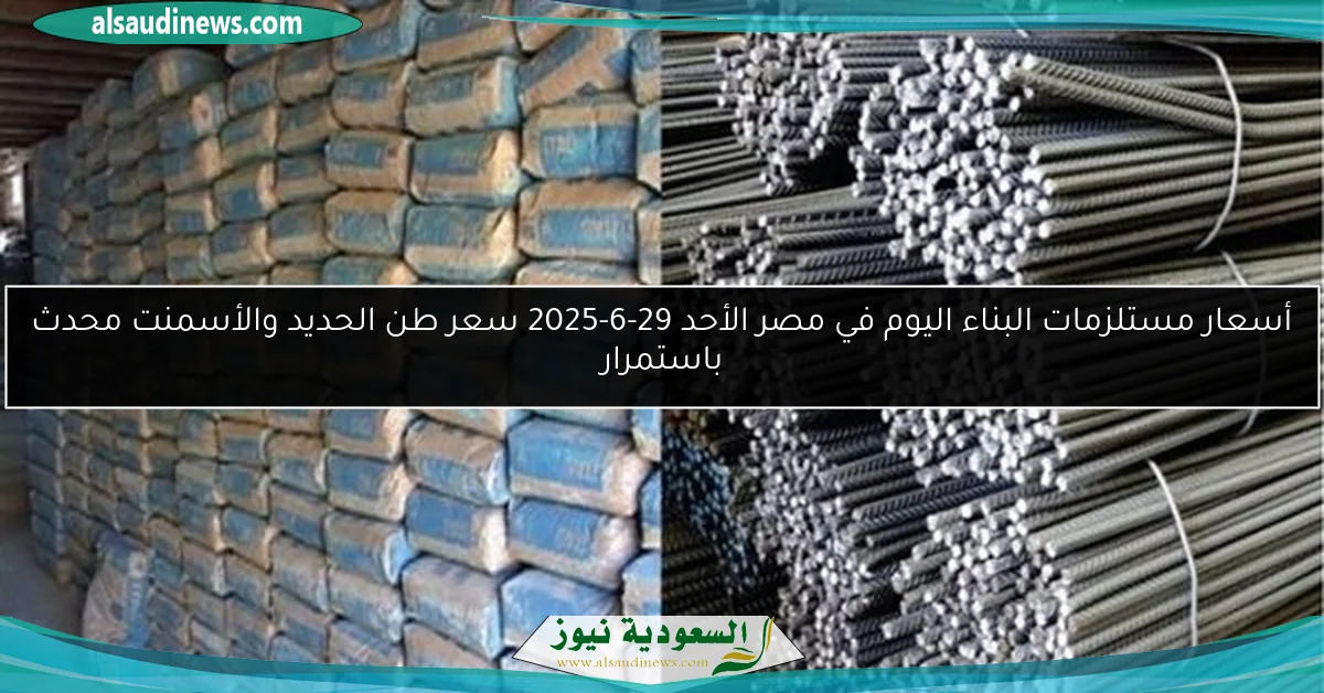 أسعار مستلزمات البناء اليوم في مصر الأحد 29-6-2025 سعر طن الحديد والأسمنت محدث باستمرار
