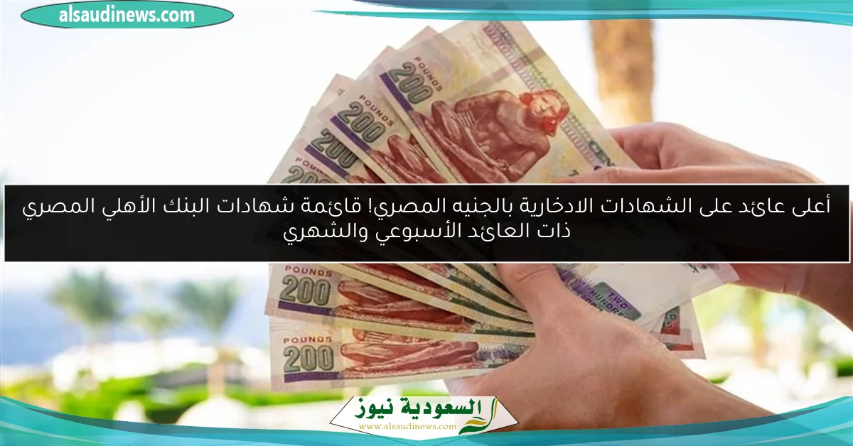 أعلى عائد على الشهادات الادخارية بالجنيه المصري! قائمة شهادات البنك الأهلي المصري ذات العائد الأسبوعي والشهري